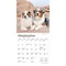 Australian Shepherds | 2026 7 x 14 Inch (Hanging) Monthly Mini Wall Calendar